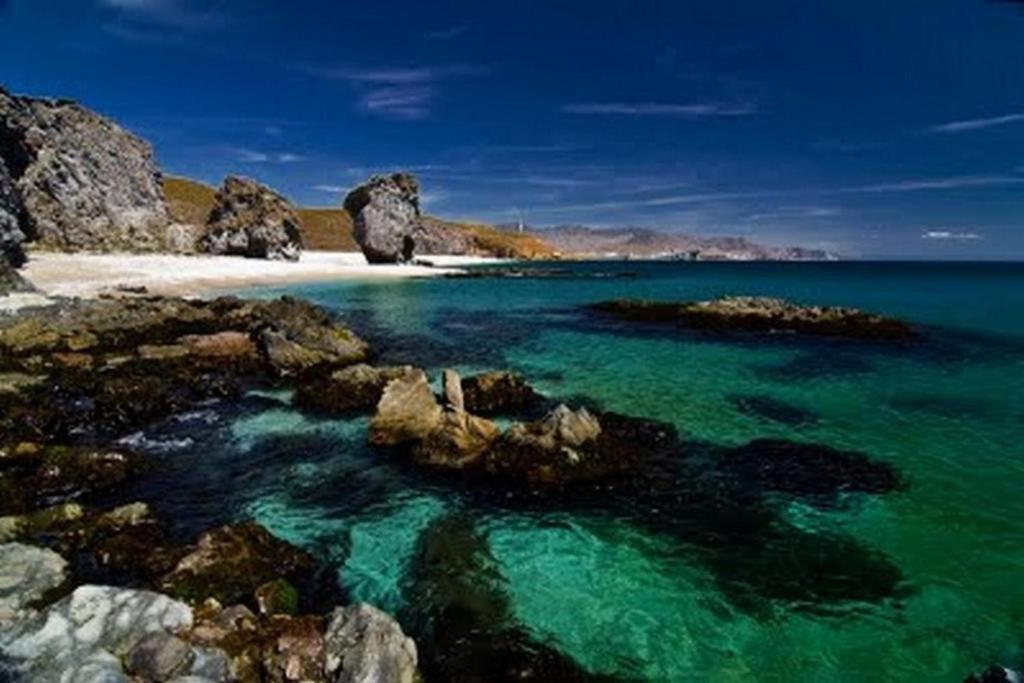 Apartamento Primera Linea De Playa Las Marinas ベラ エクステリア 写真